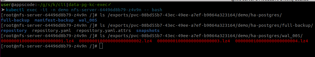 Exec into nfs server